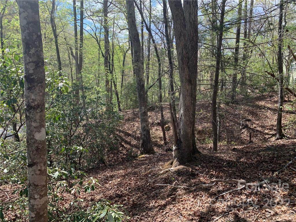 0 Bear Run Avenue - Photo 1