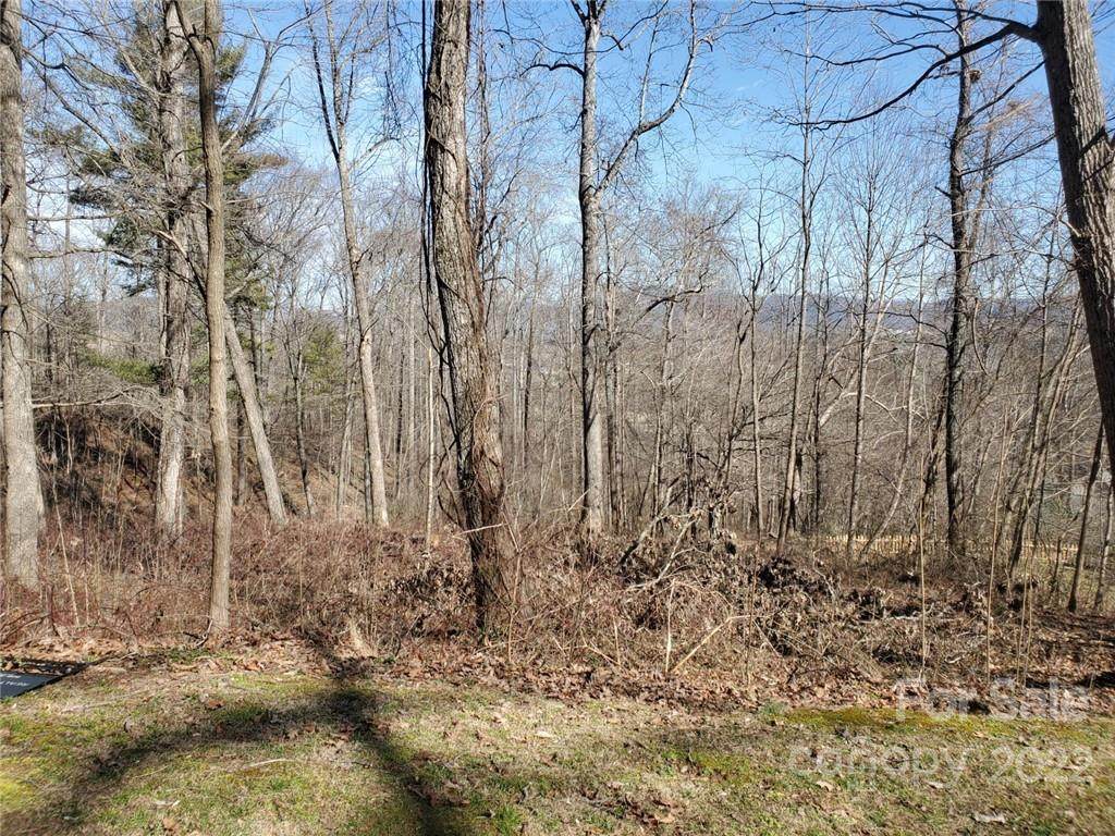 688 Carrie Drive - Photo 1