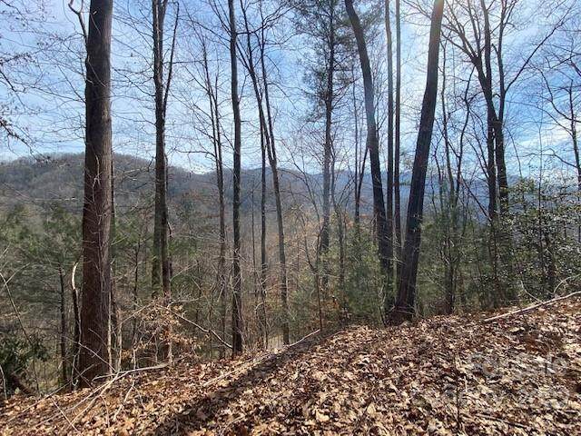 0 Beech Tree Place - Photo 1