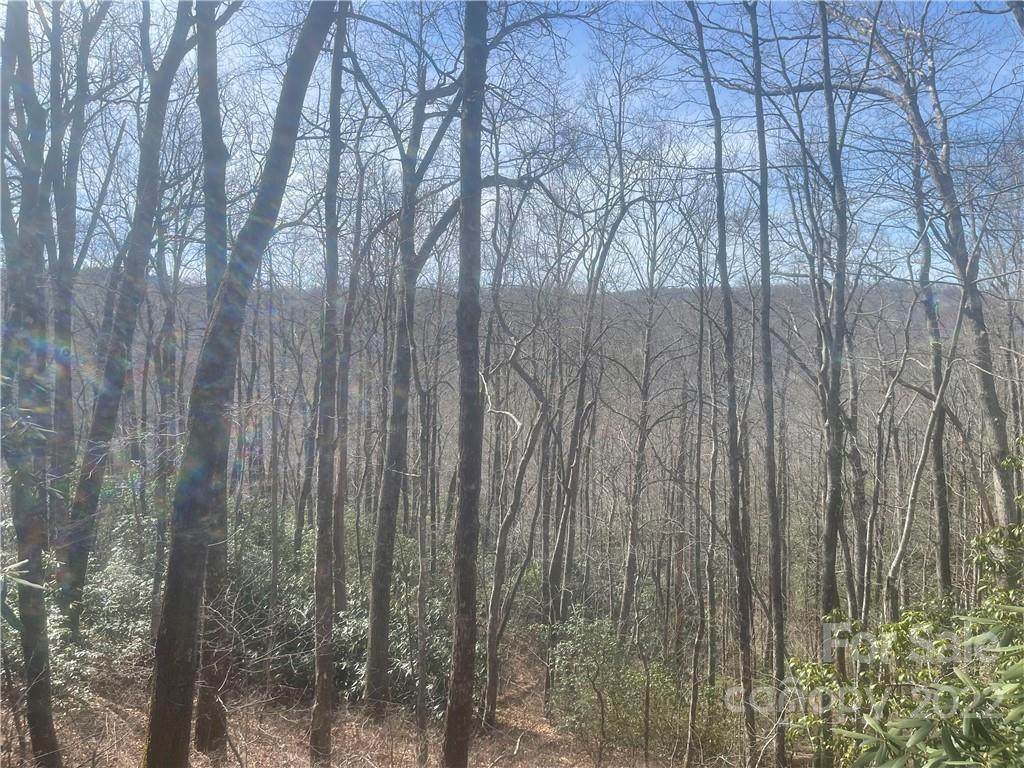 TBD Shiloh Lane - Photo 1