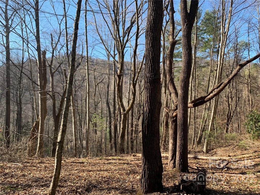 99999 Shope Creek Estates Drive - Photo 1