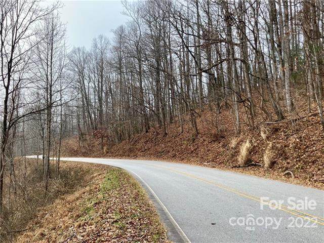 000 Mine Mountain Road - Photo 1