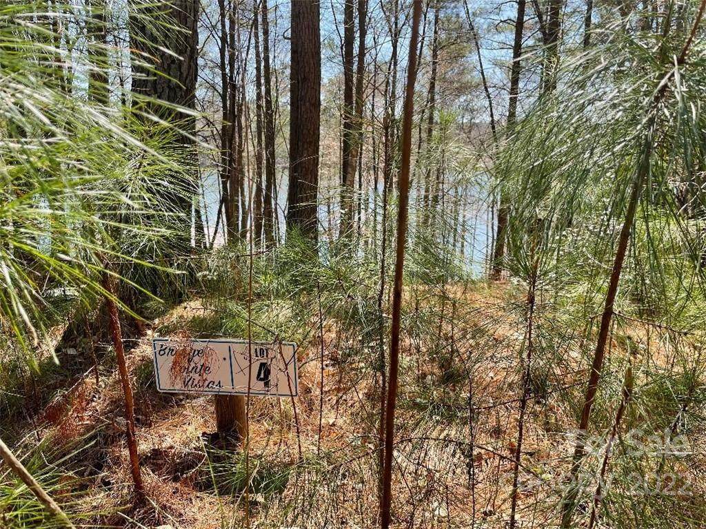 6075 Castle Bridge Drive - Photo 1