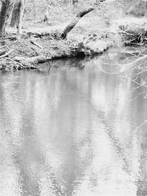 00 Old Greenlee Road - Photo 1