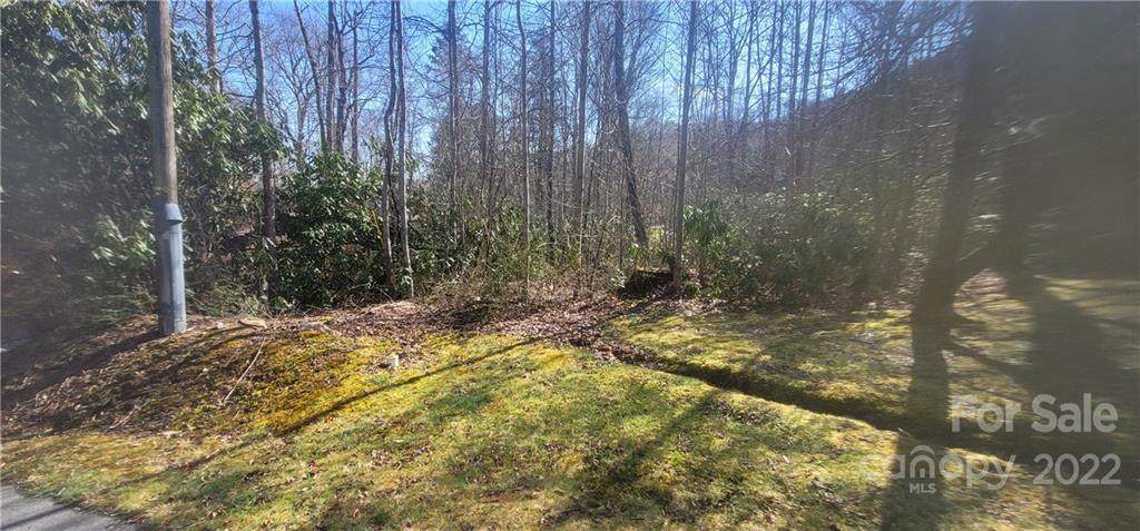 Lot 31 Twinbrook Lane - Photo 1