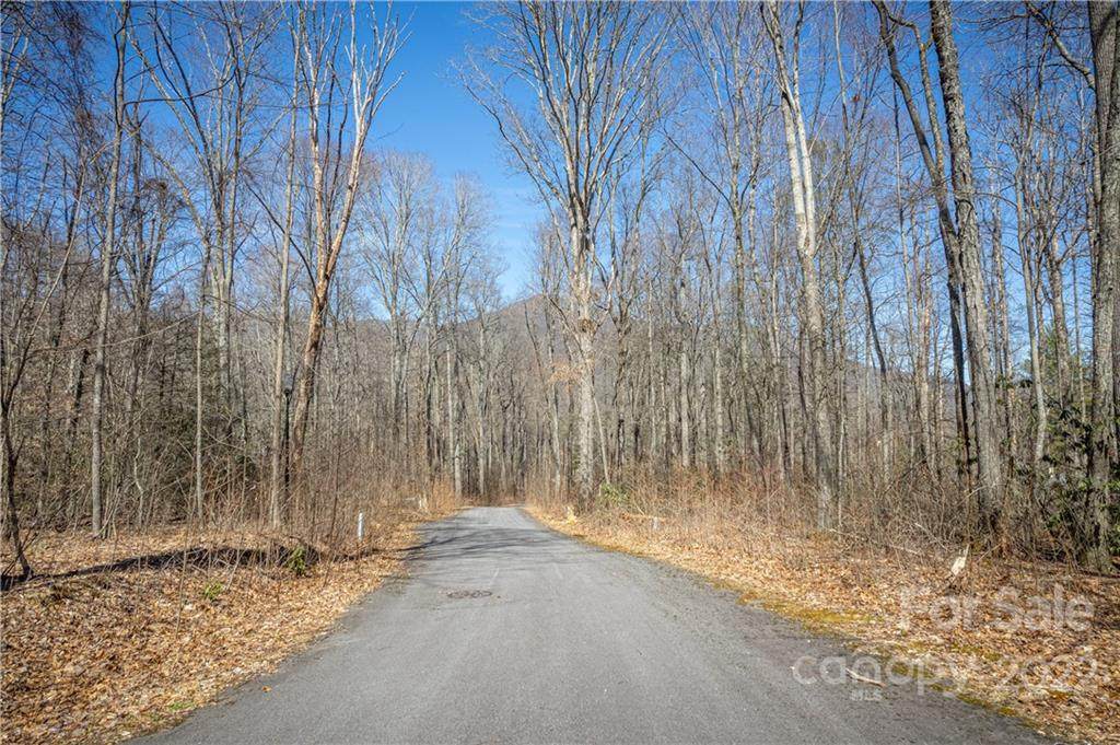 Lot 39 Twinbrook Lane - Photo 1