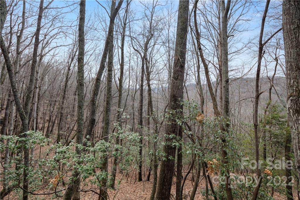 72 Honey Locust Drive - Photo 1