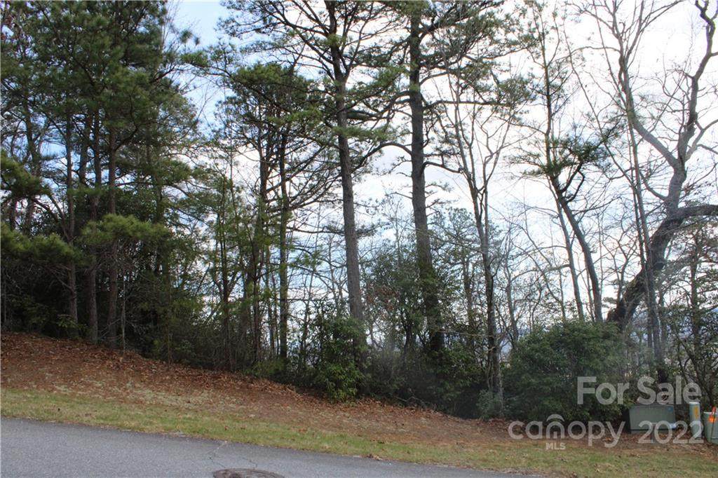 M25 Elk Mountain Trail - Photo 1