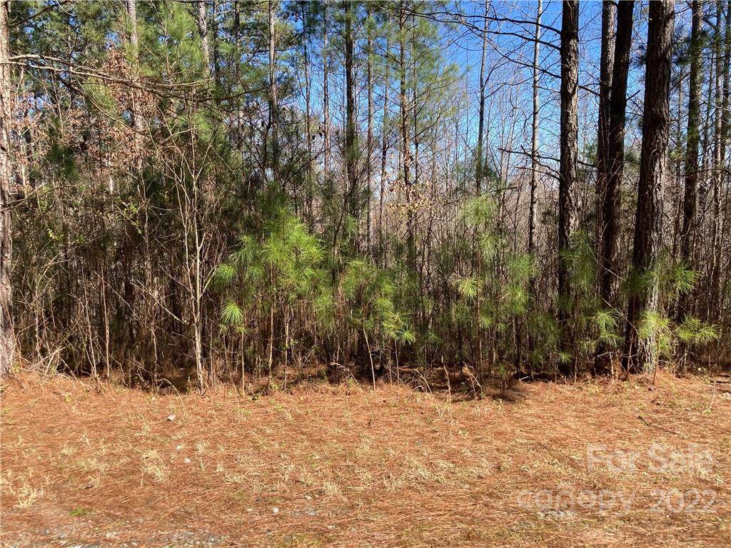 0 Cross Creek Drive - Photo 1