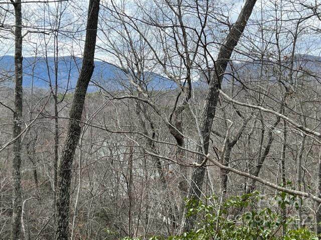 0000 Buffalo Shoals Road - Photo 1