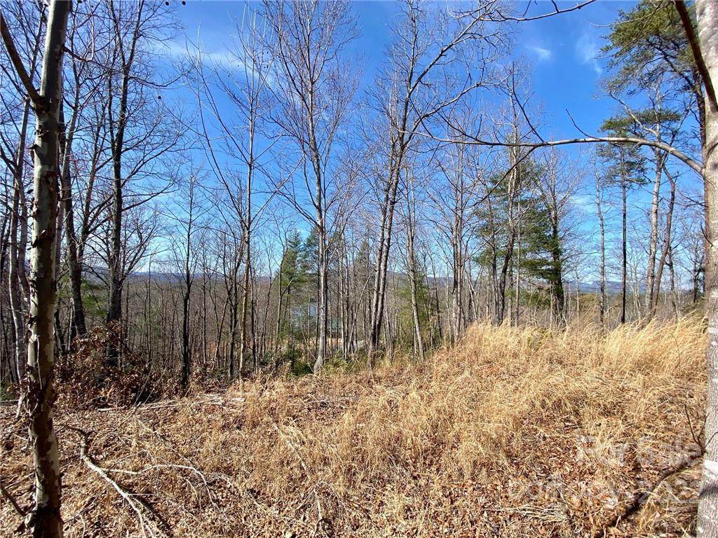 Lot 33-11 High Trail Drive - Photo 1