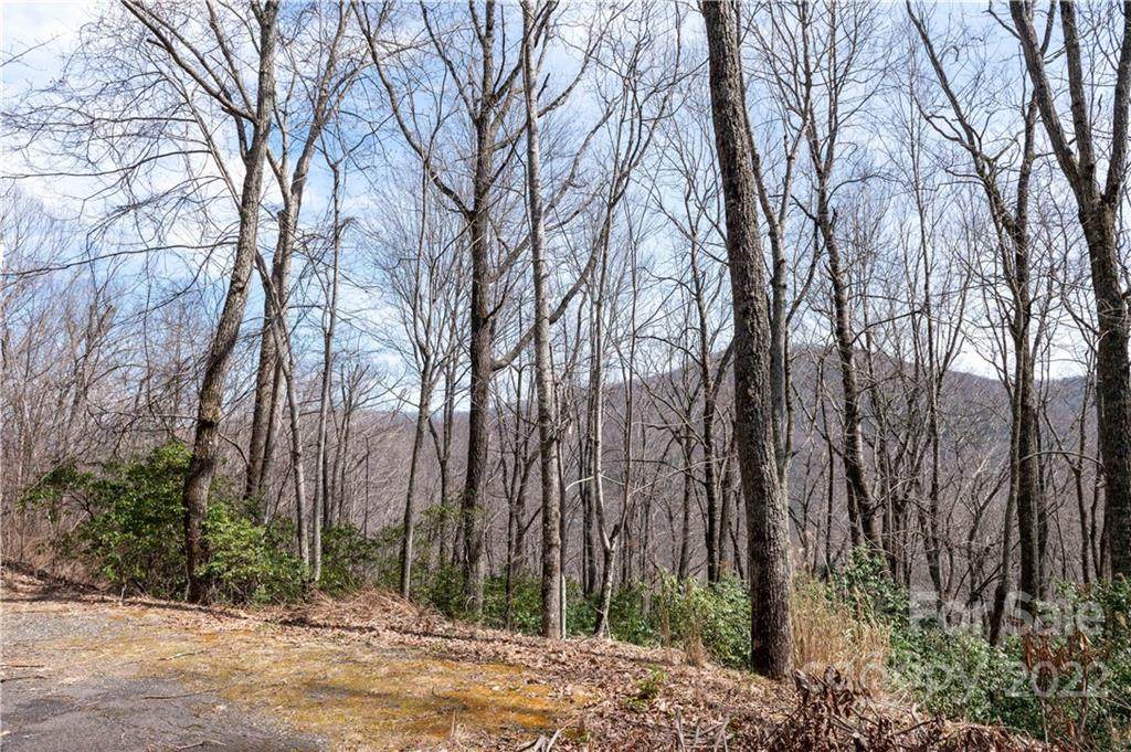 00 Fawn Way - Photo 1