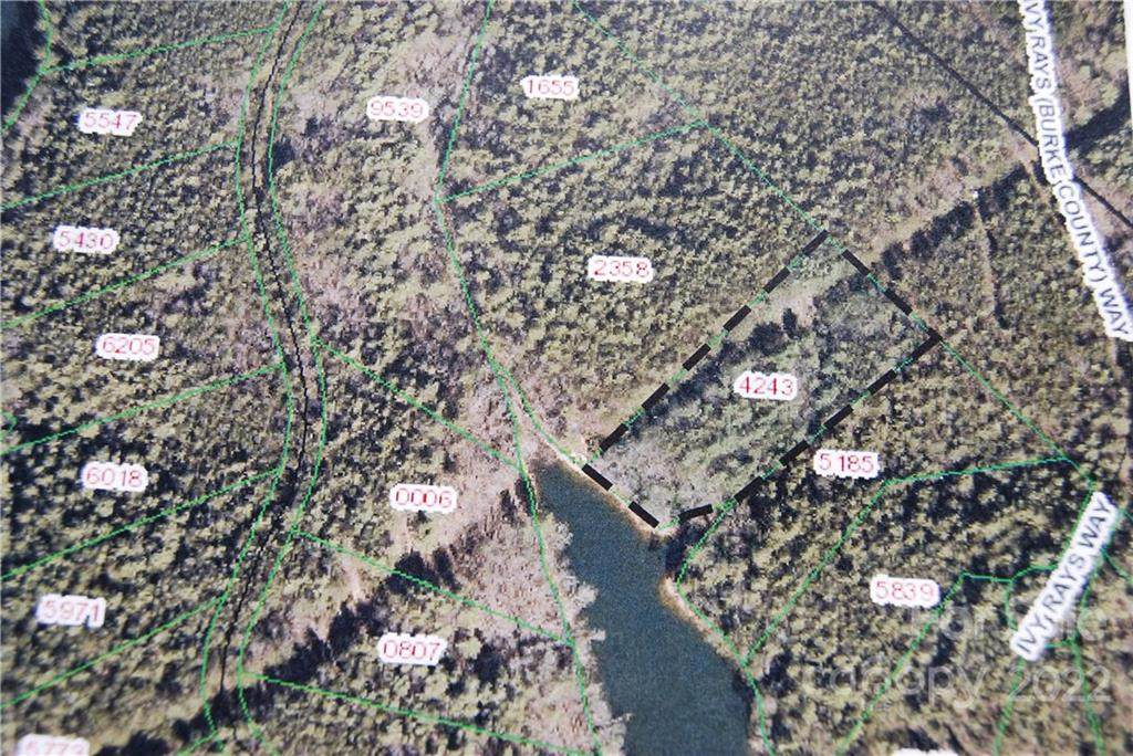 Lot 43 Ivy Rays Way - Photo 1