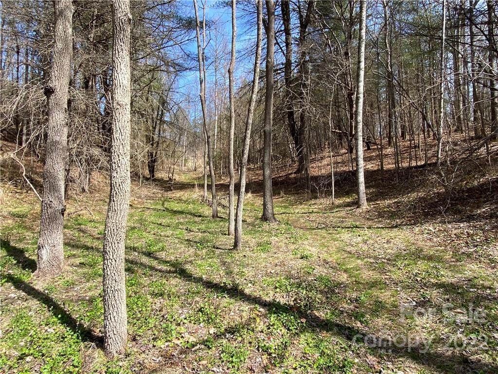 1311 Long Ridge Road - Photo 1