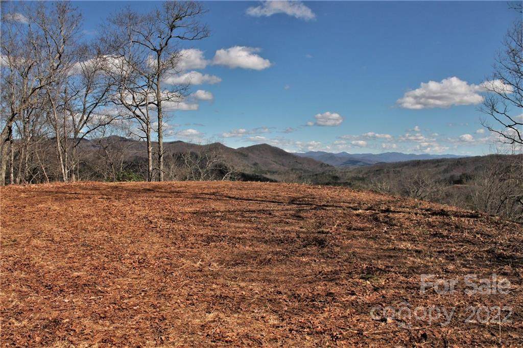 111 Little Bear Road - Photo 1