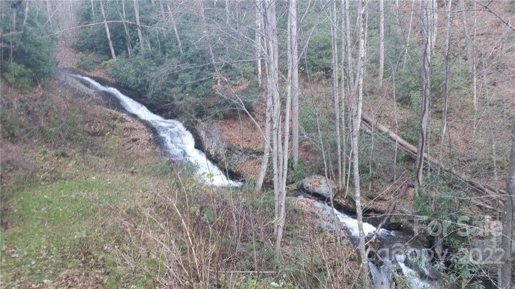 2000 Buff Creek Road - Photo 1