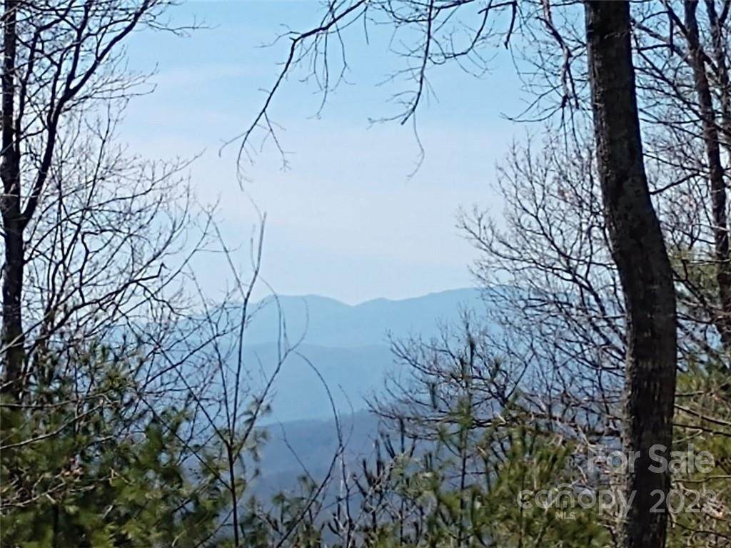 00 Fox Ridge Trail - Photo 1