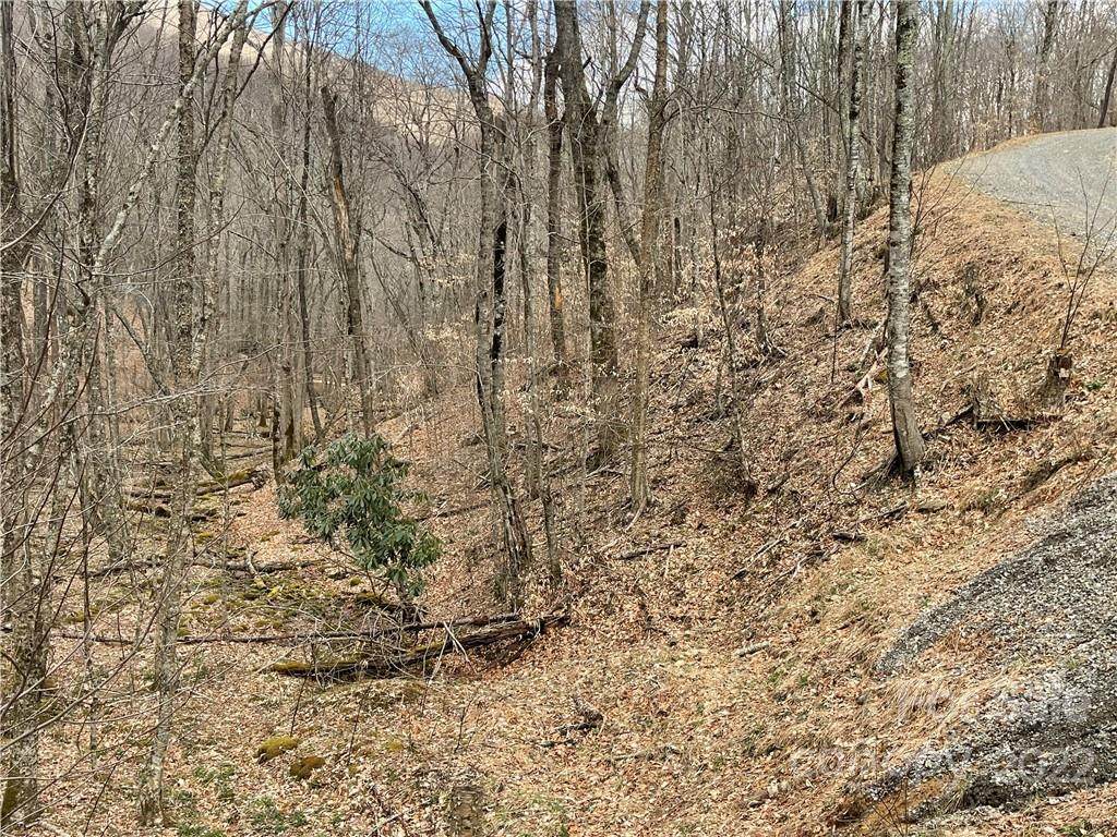 122 Chestnut Lane - Photo 1