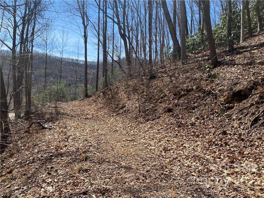 TBA Lynne Birch Drive - Photo 1