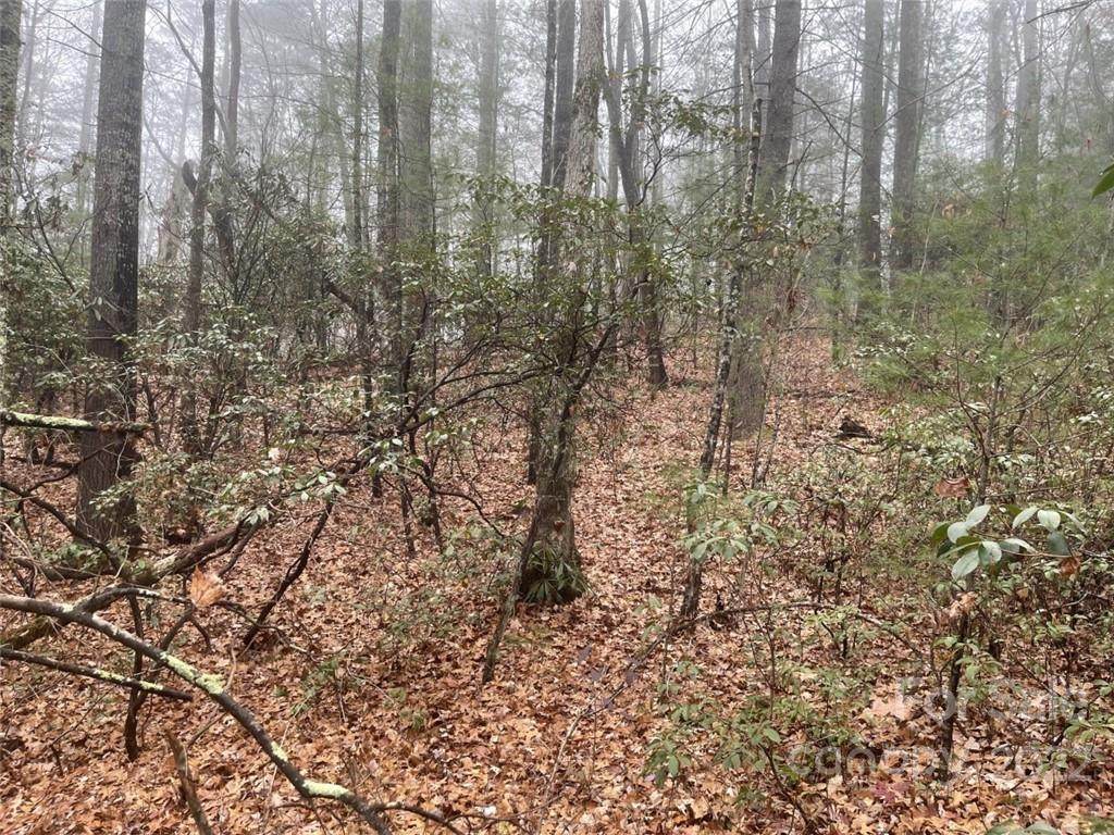 Lot 76 Peppervine Circle - Photo 1