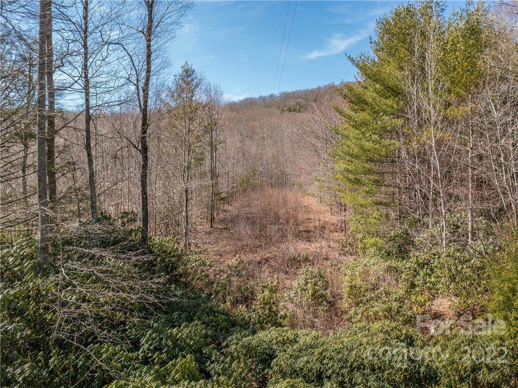 155 Bear Den Mountain View - Photo 1