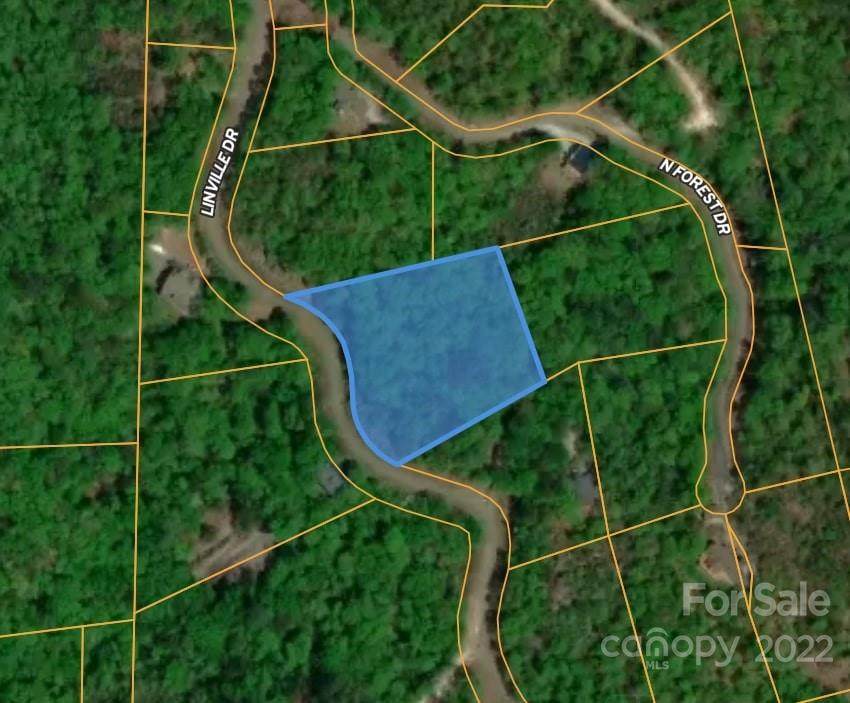 0 Linville Drive - Photo 1