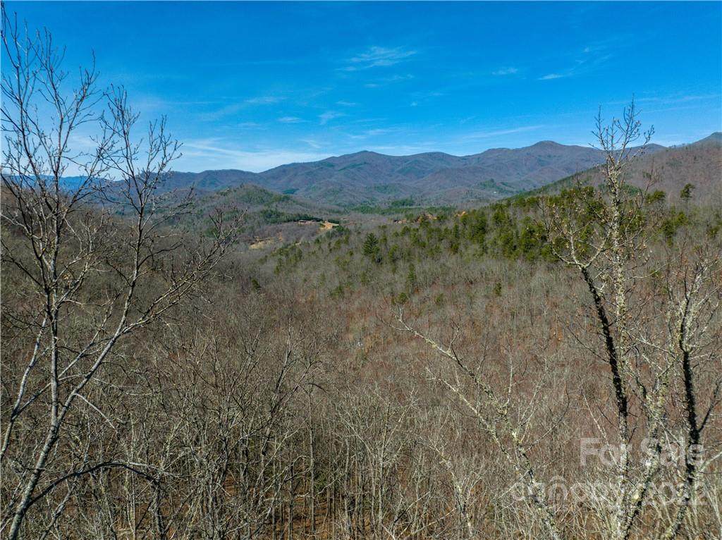 000 Bee Branch Drive - Photo 1