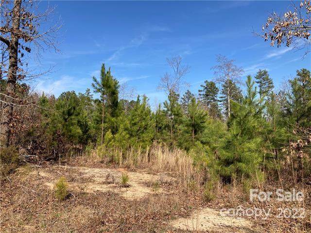 3145 Pilgrim Road - Photo 1