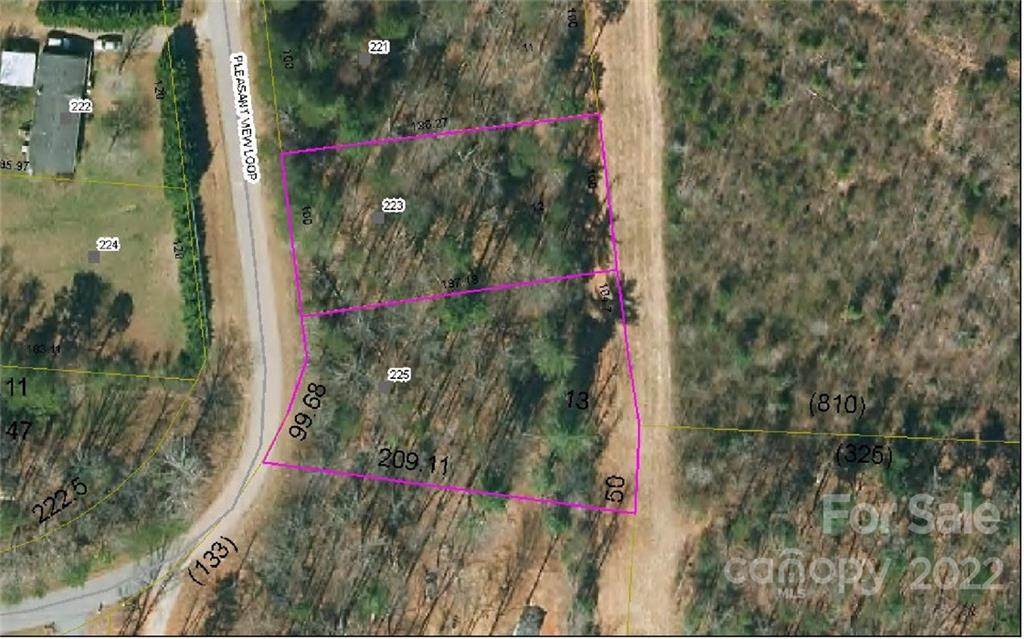 223 Pleasant View Loop - Photo 1