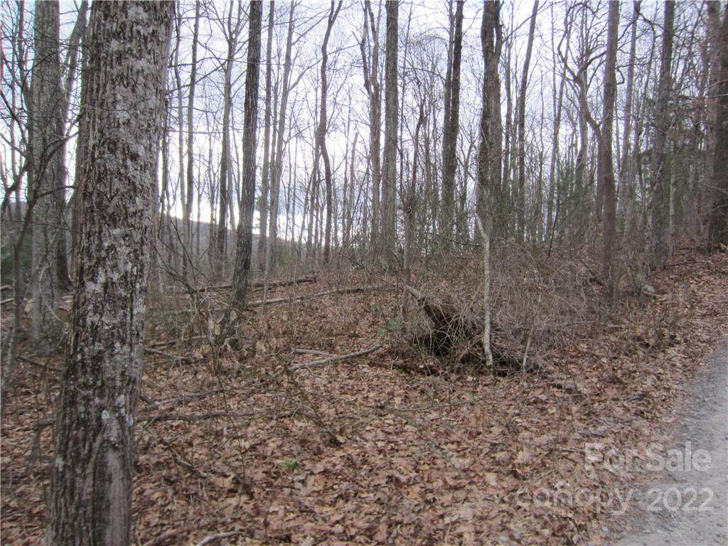 8 Smokey Road - Photo 1
