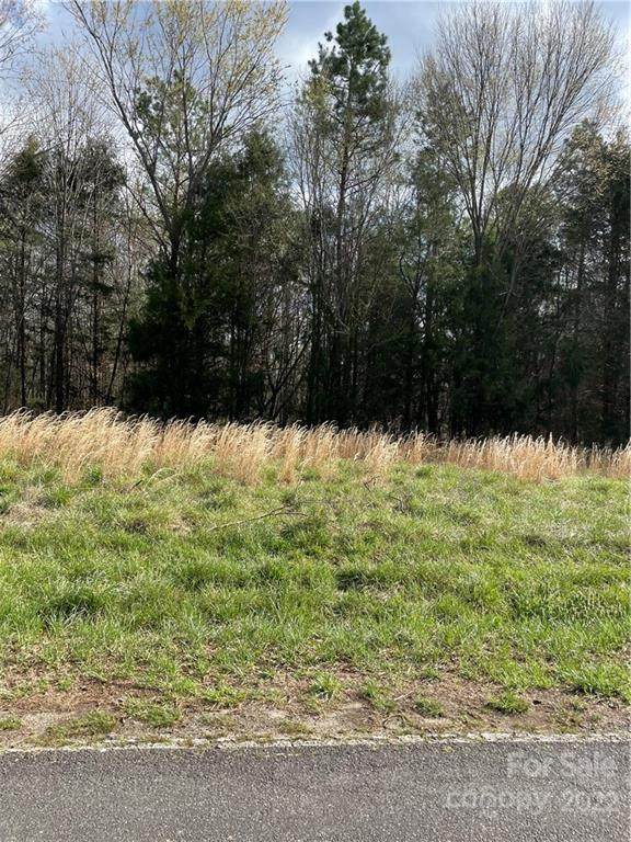 00 Back Creek Church Road - Photo 1