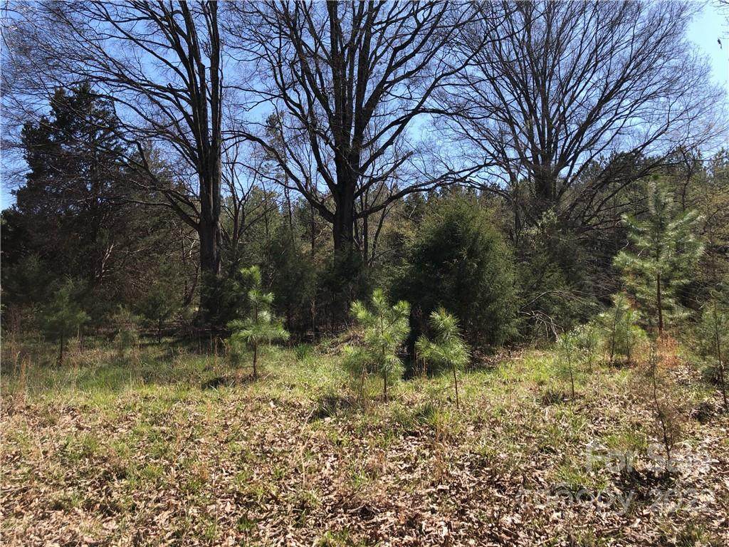 0 Pleasant Grove Road - Photo 1