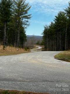 V/L Pine Ridge Drive - Photo 1