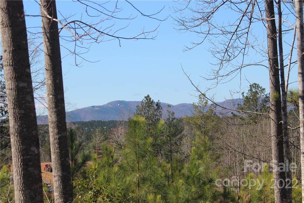 2170 Island View Lane - Photo 1