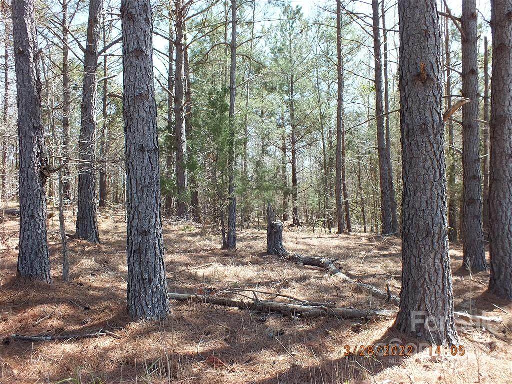 00 James L Caskey Road - Photo 1
