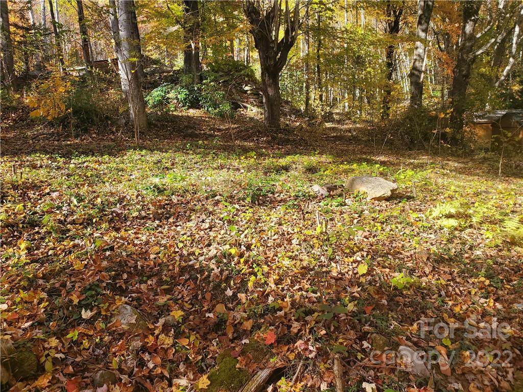 000 Carpenter Branch Road - Photo 1