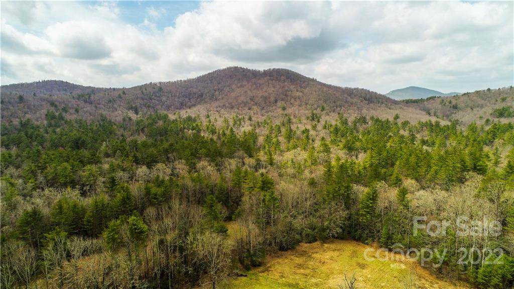 TBD Upper Whitewater Road - Photo 1