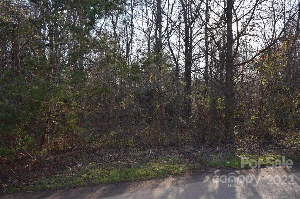 Lot 12 Stones Throw Court - Photo 1