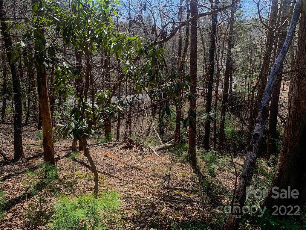 12A Lurewoods Manor Drive - Photo 1