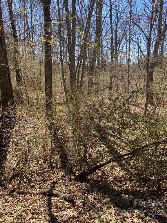 00 Rollingwood Drive - Photo 1