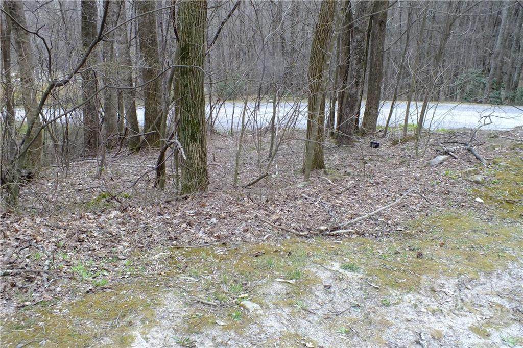 Lot 2 Sage Lane - Photo 1