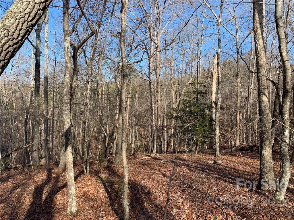 00 Dulin Road - Photo 1