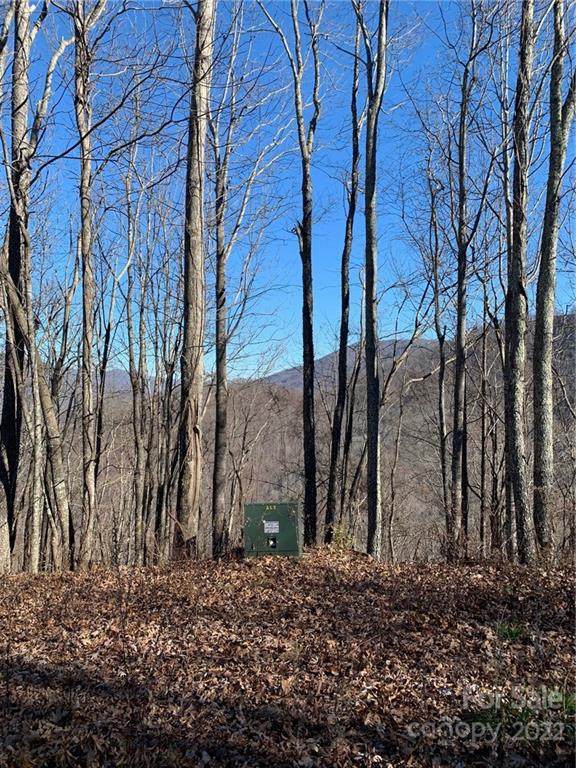 125 Boar Ridge Road - Photo 1