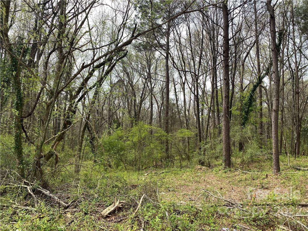 900 York Avenue - Photo 1