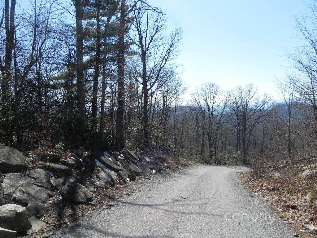 Lot 105 Pinkerton Corner - Photo 1