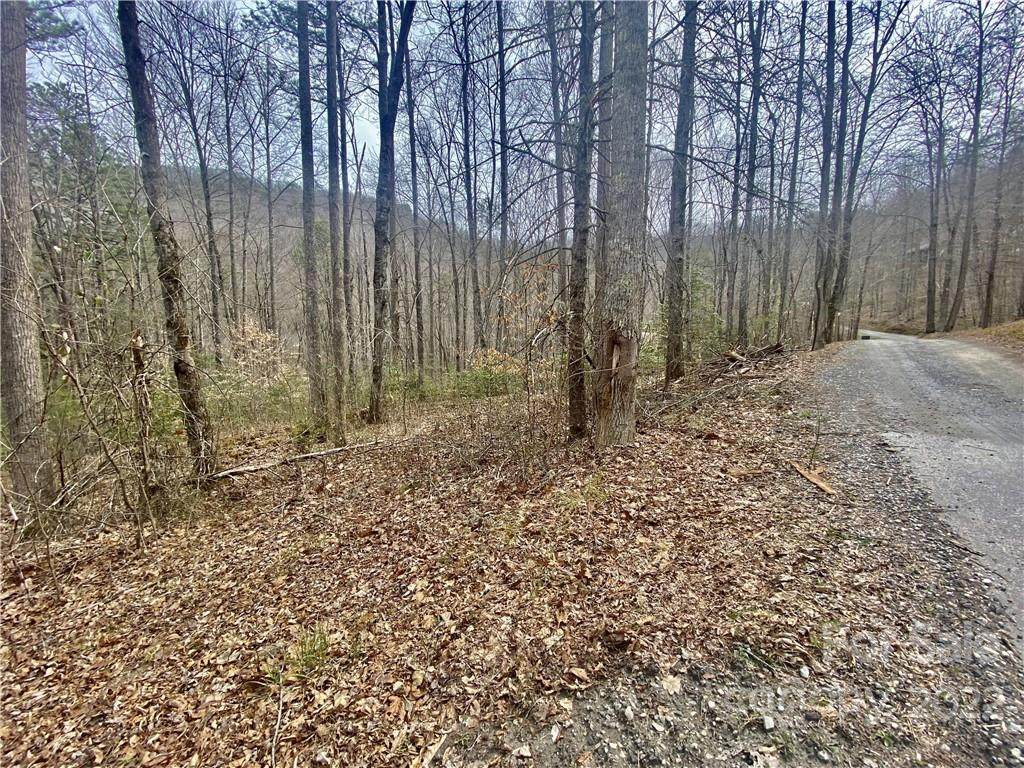 0 Sawmill Creek Road - Photo 1