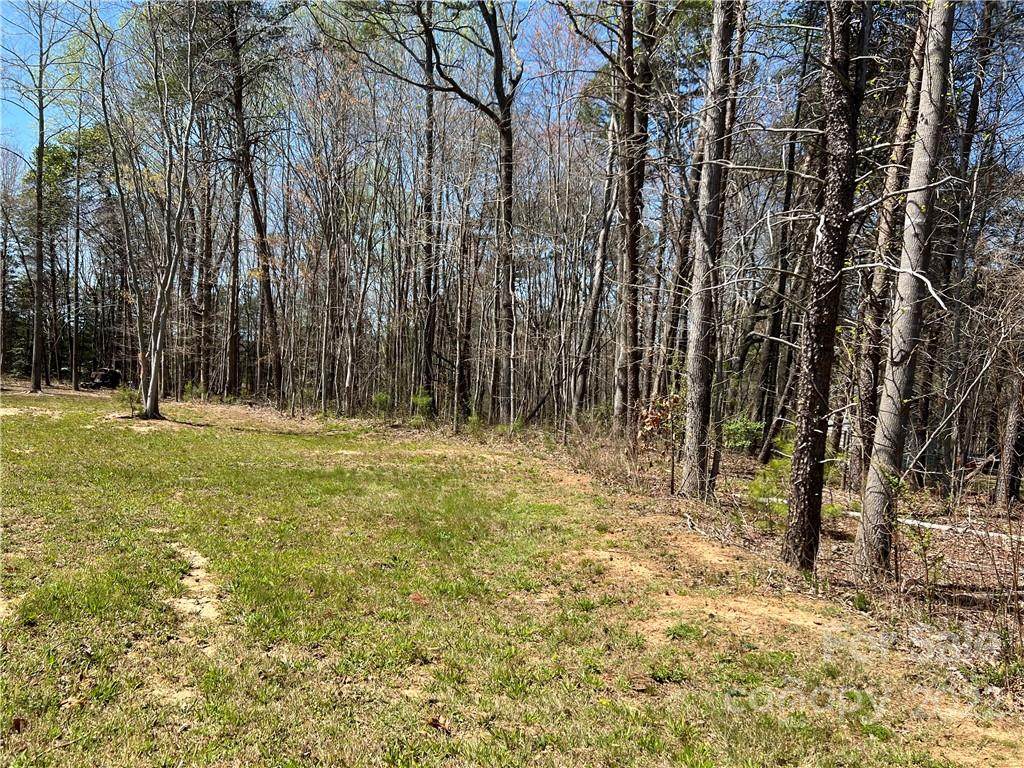 4803 Burris Road - Photo 1