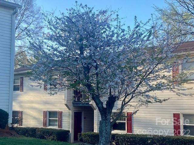 7981 Shady Oak Trail - Photo 1