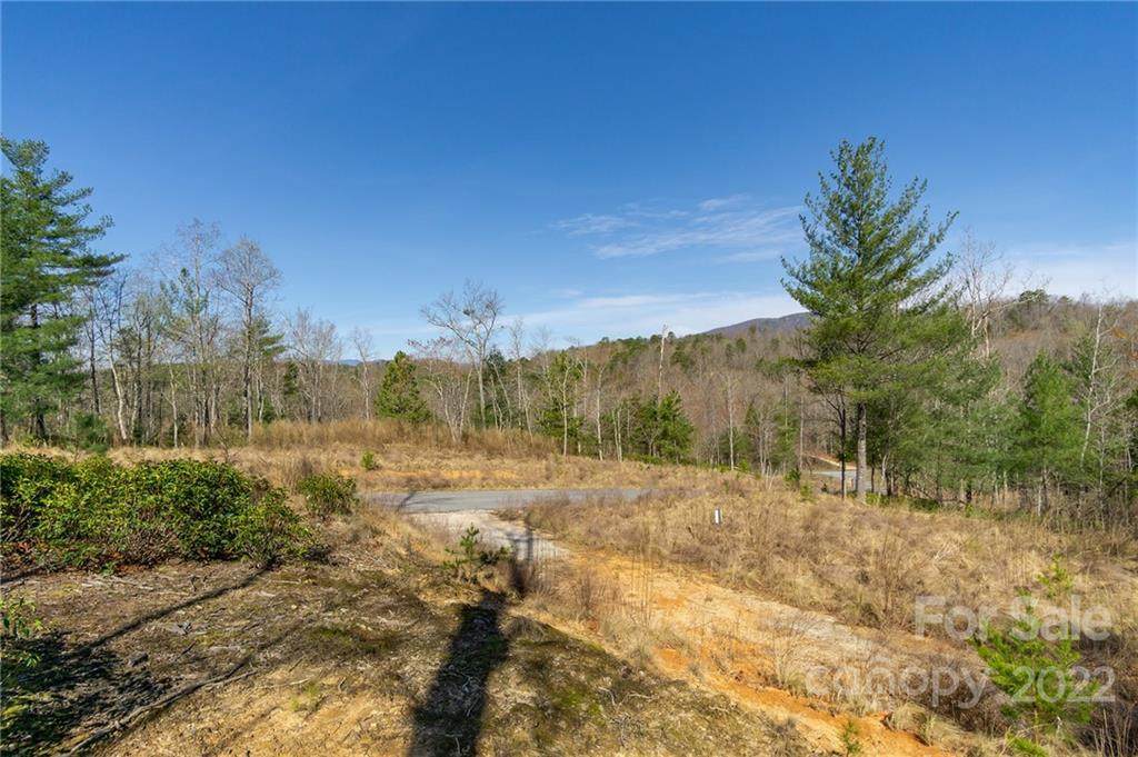 V/L Ridge Point Road - Photo 1