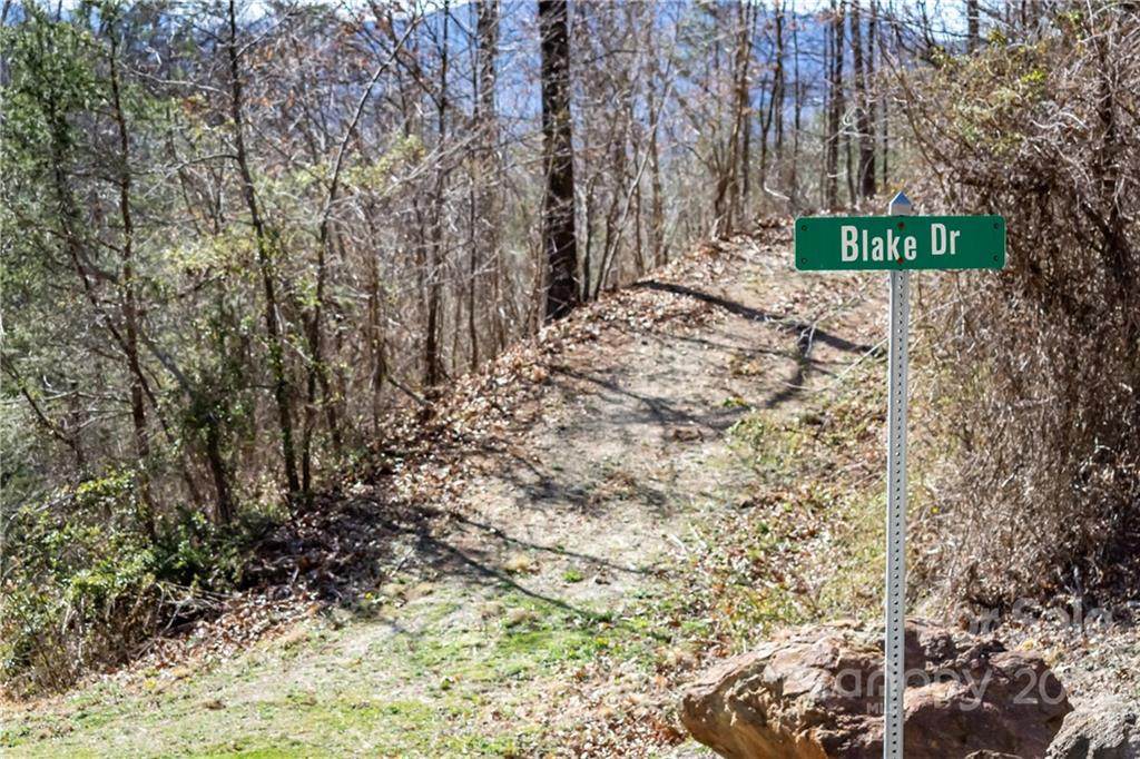 Lot 1 Blake Drive - Photo 1